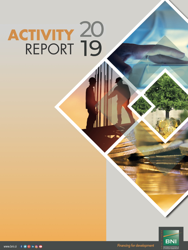 Activity report 2019